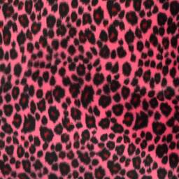 Leopard Pink Print Pillow, Animal Print, Throw & Black Pillow Cover, Safari Animal Print, Girls Decor, Jungle - thumbnail 3