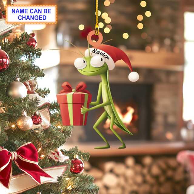 Custom Name Cute Mantis With Santa Hat & A Gift Box Xmas Ornament, Christmas Tree Hanging Decor, Flat 2D Ornament - image 1