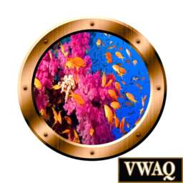 Underwater Porthole School Of Fish Wall Art Coral Reef Vinyl Sticker - Vwaq Bp2