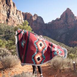 Esme Southwest Woven Tapestry Blanket, Native American Inspired Pattern, Tribal Camp Throw Cotton Made in Usa 72x54