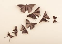 3D Butterflies, Butterfly Art, Wall Decals, Bedroom Gender Neutral Baby Gift, Brown Metallic Decor
