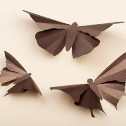 3D Butterflies, Butterfly Art, Wall Decals, Bedroom Gender Neutral Baby Gift, Brown Metallic Decor - thumbnail 3