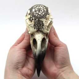 Hand-Cast Raven Skull Figurine Magic Symbols, Runes, Pagan Decor - thumbnail 2