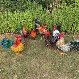 Decorative Metal Orange Red Hen Chicken Garden Statue Outdoor Lawn Ornament Farm - thumbnail 4