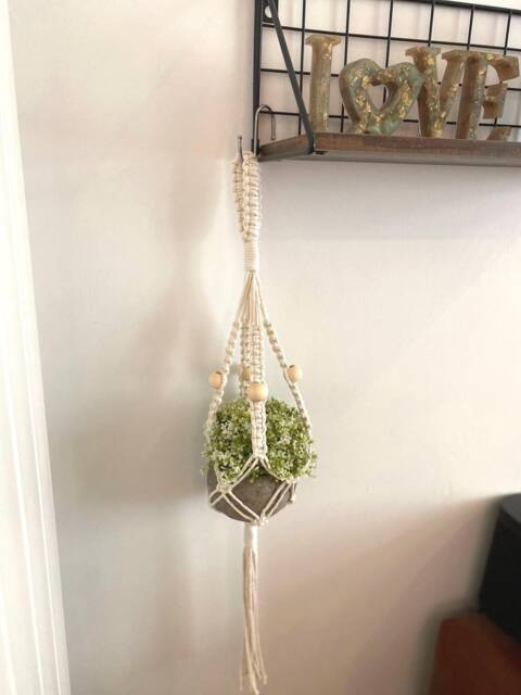 Mini Plant Hanger, Macrame Cotton Rope Pot Holder, Boho Succulent Wall Decor, Small Indoor Hanging Basket, Cactus Display Holder - image 1