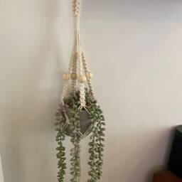 Mini Plant Hanger, Macrame Cotton Rope Pot Holder, Boho Succulent Wall Decor, Small Indoor Hanging Basket, Cactus Display Holder - thumbnail 2