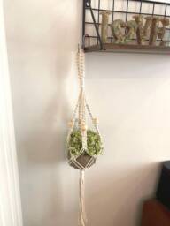 Mini Plant Hanger, Macrame Cotton Rope Pot Holder, Boho Succulent Wall Decor, Small Indoor Hanging Basket, Cactus Display Holder - thumbnail 1