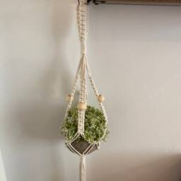 Mini Plant Hanger, Macrame Cotton Rope Pot Holder, Boho Succulent Wall Decor, Small Indoor Hanging Basket, Cactus Display Holder - thumbnail 4