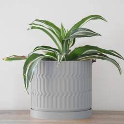 "Mabel Planter With Drainage & Saucer in Gray, Boho 3D-Printed Plant Pot, Small To Large Sizes 4"" 5"" 6"" 7"" 8" - thumbnail 3