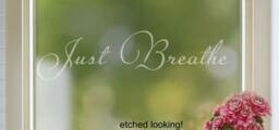 Etched Frosted Window Decal Custom Glass Decor