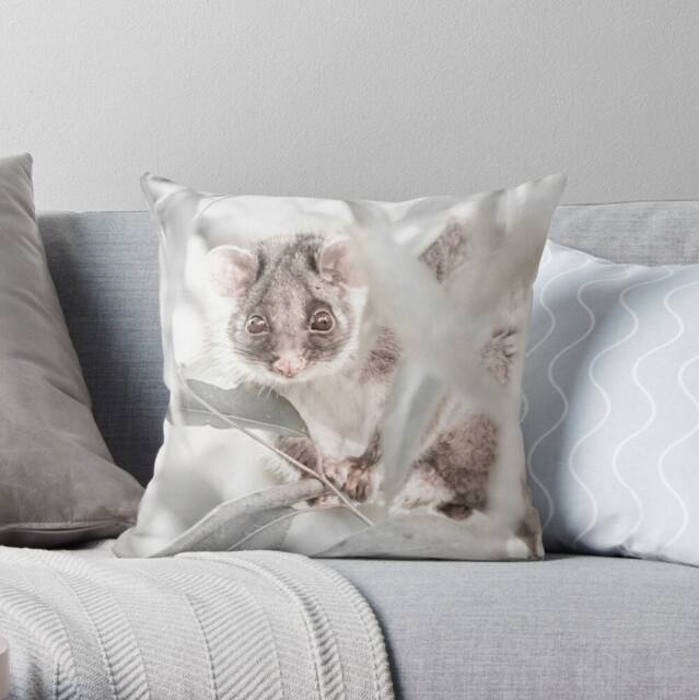 Ringtail Possum Cushion Cover - Australian Wildlife Decor - image 1