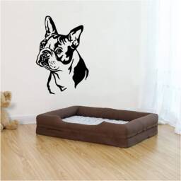 Boston Terrier Self Adhesive Vinyl Wall Art, Decal, Transfer, Mural, Interior Or Exterior Use - 32 Colours, 5 Sizes, Home Decor 0984