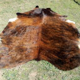 Brindle Redish Brown Large New Cowhide Rug Natural Hair On - 6x6 Ft Size Approx Tri-Color Brown Tones Soft Carpet Cow Hide R-R S - thumbnail 2