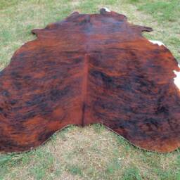 Brindle Redish Brown Large New Cowhide Rug Natural Hair On - 6x6 Ft Size Approx Tri-Color Brown Tones Soft Carpet Cow Hide R-R S - thumbnail 4
