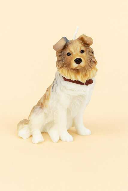 Rough Collie - Dog Candle Puppy - image 1