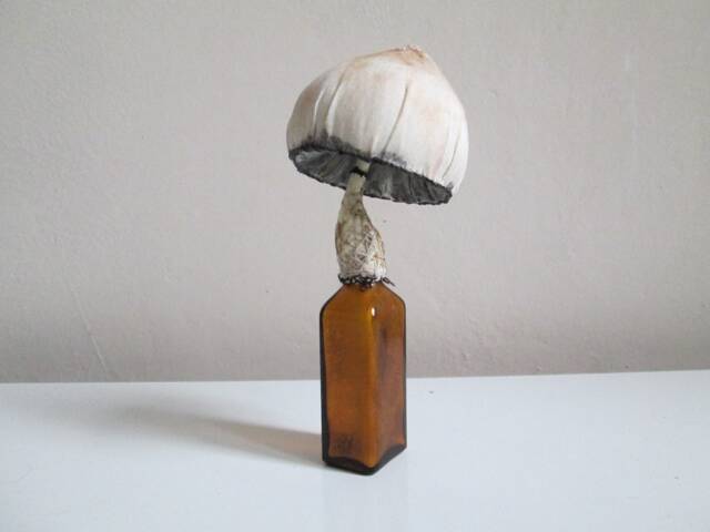 Textile Art Object Mushroom Mushrooms Toadstool Home Decor Fabric Sculpture Glass Bottle Collection Whimsical Curiosities Artwork Fungus - image 1
