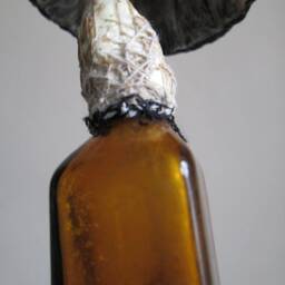 Textile Art Object Mushroom Mushrooms Toadstool Home Decor Fabric Sculpture Glass Bottle Collection Whimsical Curiosities Artwork Fungus - thumbnail 4