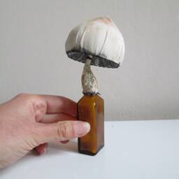 Textile Art Object Mushroom Mushrooms Toadstool Home Decor Fabric Sculpture Glass Bottle Collection Whimsical Curiosities Artwork Fungus - thumbnail 2