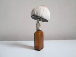 Textile Art Object Mushroom Mushrooms Toadstool Home Decor Fabric Sculpture Glass Bottle Collection Whimsical Curiosities Artwork Fungus