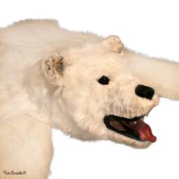 Faux Fur Bear Skin Rug, Life Size Grizzly, Polar, Black Bear, Hand Made Usa - thumbnail 3