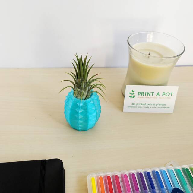 Premade - Aquamarine Pineapple Air Plant Holder - Lover Gift Christmas Present - image 1