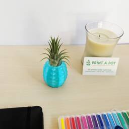 Premade - Aquamarine Pineapple Air Plant Holder - Lover Gift Christmas Present - thumbnail 1