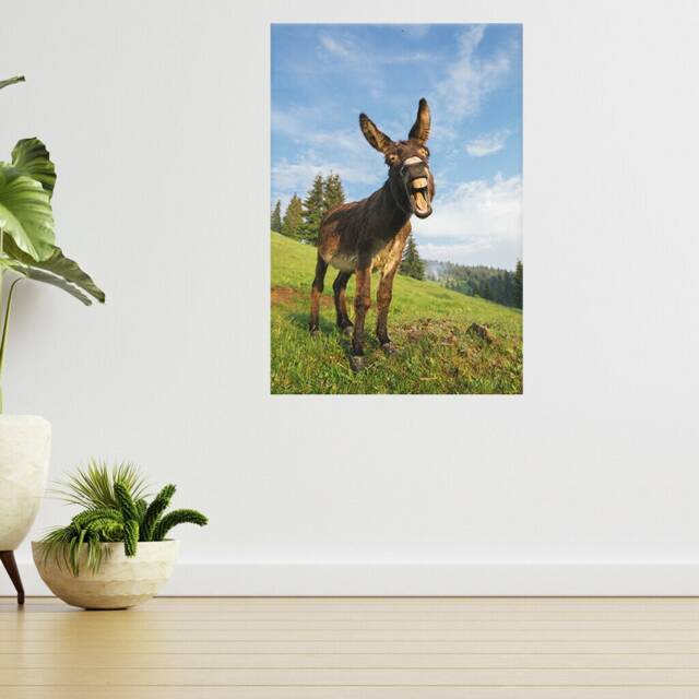 Funny Donkey At Sunset 3D View Wall Sticker Poster Decal A910 - image 1