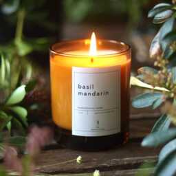 Basil Mandarin Soy Candle Gift For Her Fresh Spring Herbal Spa Day Meditation Winter Home Decor New Christmas - thumbnail 2