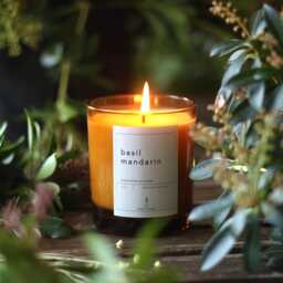 Basil Mandarin Soy Candle Gift For Her Fresh Spring Herbal Spa Day Meditation Winter Home Decor New Christmas - thumbnail 1