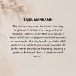 Basil Mandarin Soy Candle Gift For Her Fresh Spring Herbal Spa Day Meditation Winter Home Decor New Christmas - thumbnail 4