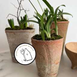 Express Delivery/ Farmhouse Style Rustic Terracotta Pot Set With Saucers/ Aged/ Old Looking/ Vintage/ - thumbnail 2