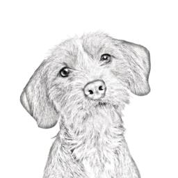 Basset Fauve De Bretagne - Wooden Stand For Candles/Pens With The Image Of A Dog New Collection - thumbnail 2