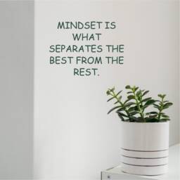 Mindset Is What Separates The Best From Rest, Inspirational, Motivational, Office, School, Home Wall Art, Transfer, 5 Size's 36 Colours