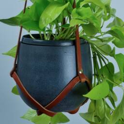 Tan Leather Plant Hanger - thumbnail 3