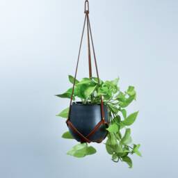 Tan Leather Plant Hanger - thumbnail 2