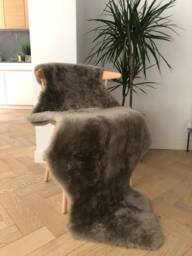 Mushroom Grey Sheepskin Rug, Short Haired Shearling Genuine , Luxury Throw, Interior Decor - thumbnail 1