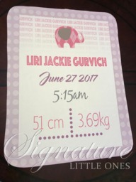 Personalized Baby Blanket, Monogrammed Name Swaddle Receiving Shower Gift, Elephant Blanket - thumbnail 1