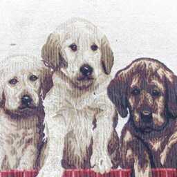 Reversible Tapestry Cushion Cover With The 3 Little Dogs - thumbnail 2