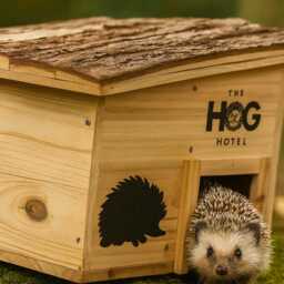 Wooden Hedgehog House Home Garden Animal Shelter - thumbnail 3