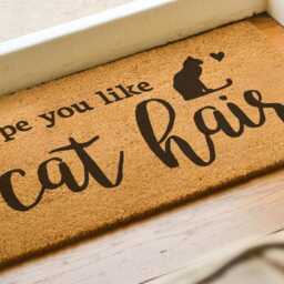 We Hope You Like Cat Hair - Lover Welcome Doormat Coconut Coir Mat Funny Door Housewarming Gift - thumbnail 2
