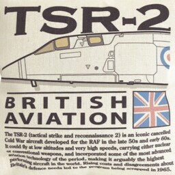 British Aircraft Corporation Bacs Strike & Reconnaissance Tsr 2 Cushion Inner Included - thumbnail 2