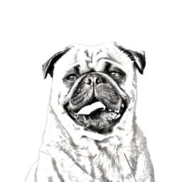 Pug - Wooden Stand For Candles/Pens With The Image Of A Dog New Collection - thumbnail 2