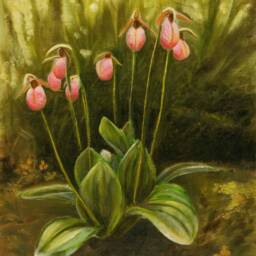 Lady Slipper Art Print Prince Edward Island Flower, Canadian Artist - 5x7 By Pei - thumbnail 2