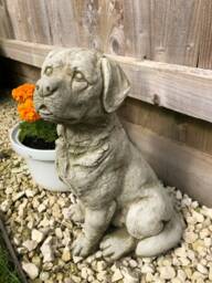 Reconstituted Stone Sitting Labrador Statue - Vintage Concrete Outdoor Dog Puppy Garden Ornament - thumbnail 1