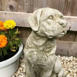 Reconstituted Stone Sitting Labrador Statue - Vintage Concrete Outdoor Dog Puppy Garden Ornament - thumbnail 3