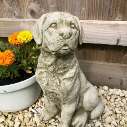 Reconstituted Stone Sitting Labrador Statue - Vintage Concrete Outdoor Dog Puppy Garden Ornament - thumbnail 2