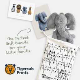 Elephant Newborn Gift Set - Teddy, Nursery Print, Eco Bag, Card - thumbnail 2