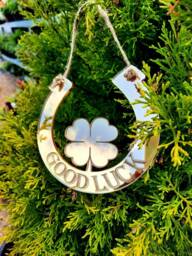 Personalized Horseshoe Door Hanger, Wedding, Birthday, Good Luck Decor - thumbnail 1
