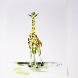 Baby Giraffe Art Print - 11x14In, Nursery Wall Art, Home Decor, Animal Artwork - thumbnail 3