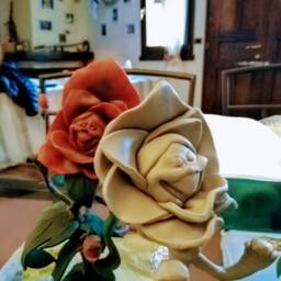 Alice in Wonderland - Flower Rose - thumbnail 4